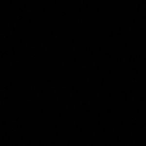 Meet your Posher, Nirael